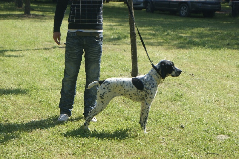 Diva du domaine du Carbonel